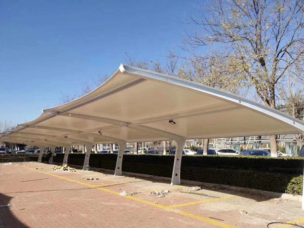 天津市津南區政府車棚完工